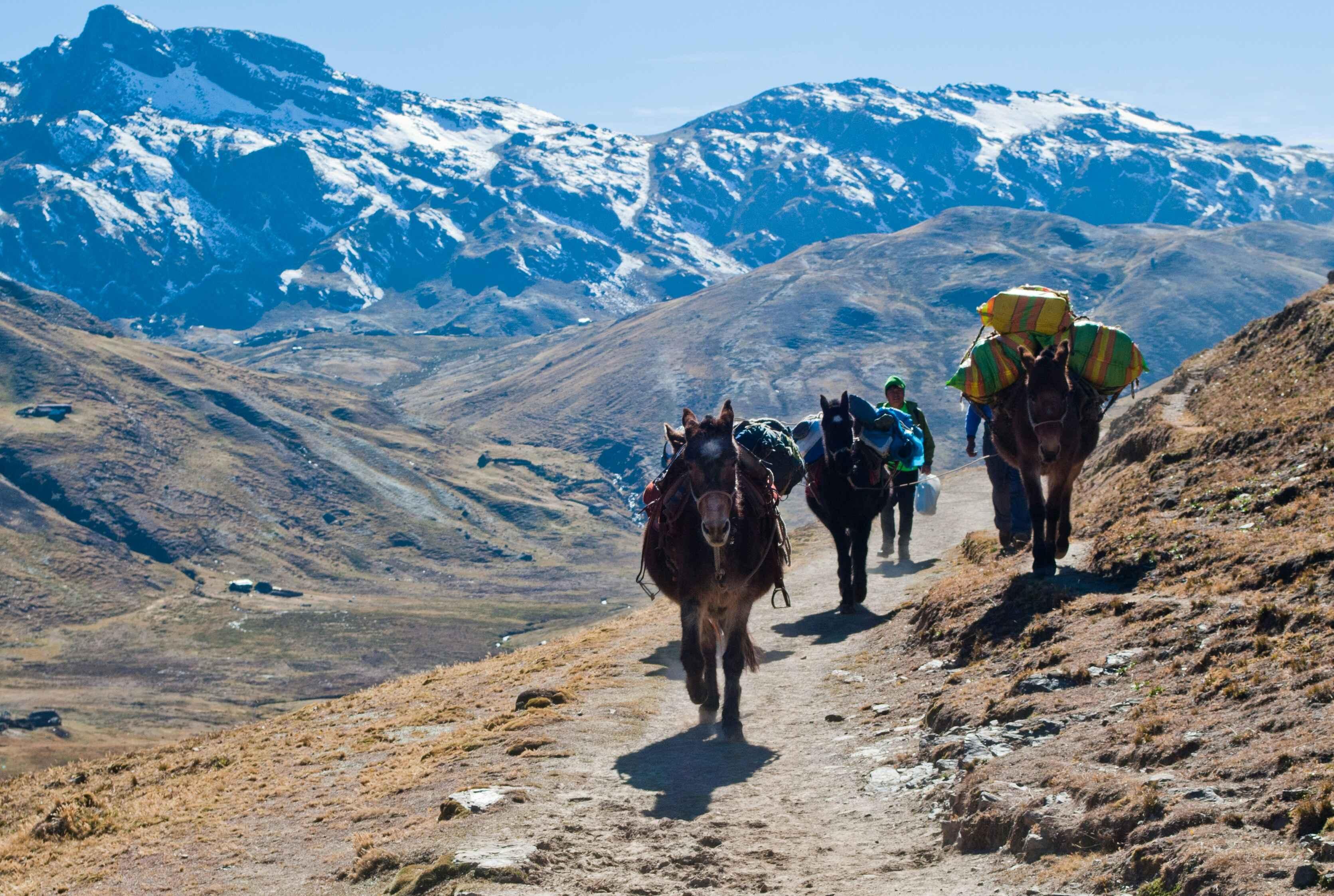 andes mountain