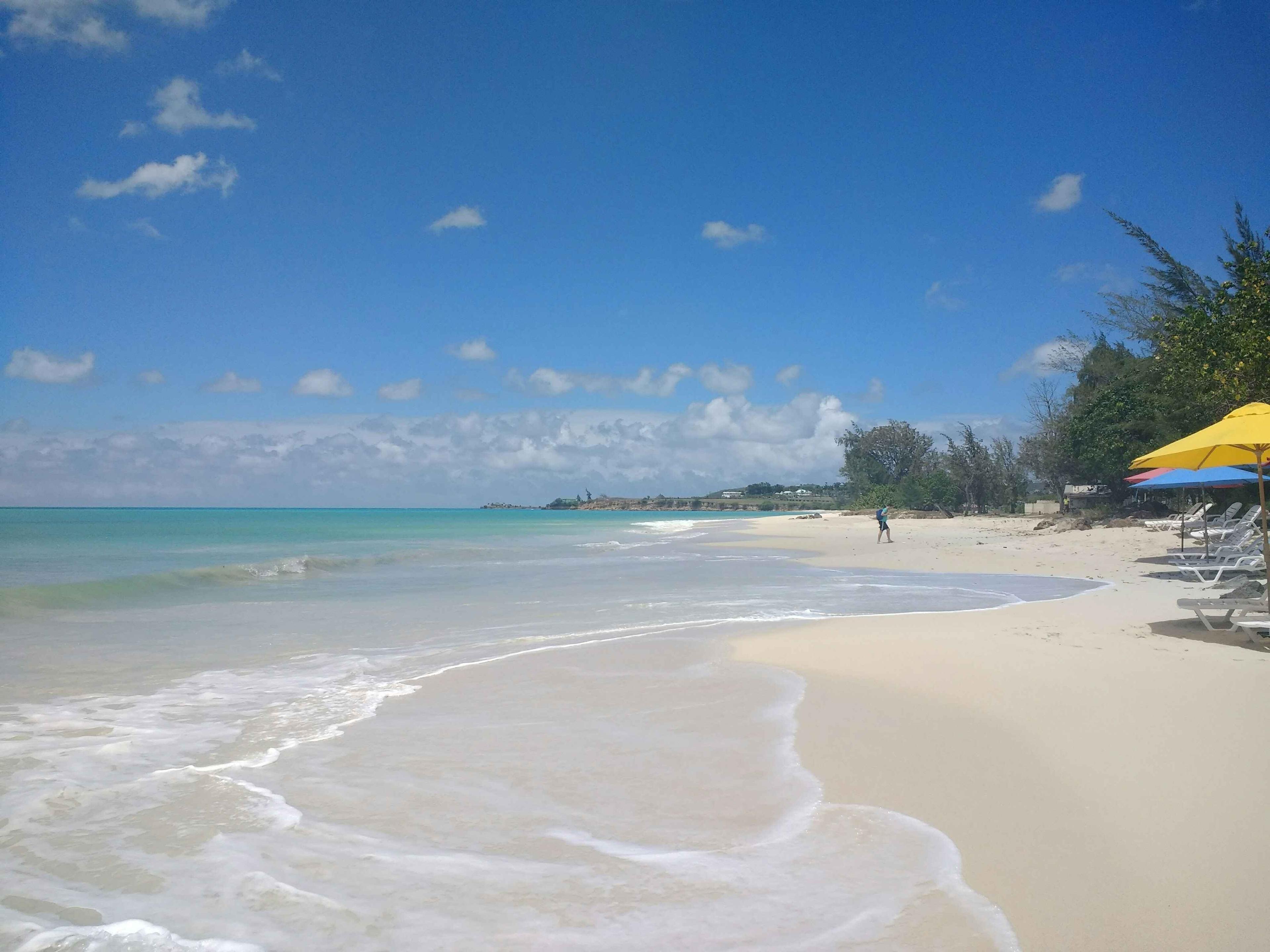 carribean
